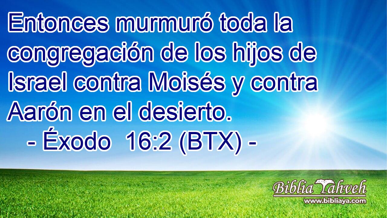 Entonces murmuró toda la congregación de los hijos de Israel contra Moisés y contra Aarón en el desierto.