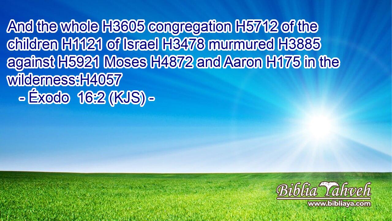 And the whole H3605 congregation H5712 of the children H1121 of Israel H3478 murmured H3885 against H5921 Moses H4872 and Aaron H175 in the wilderness:H4057