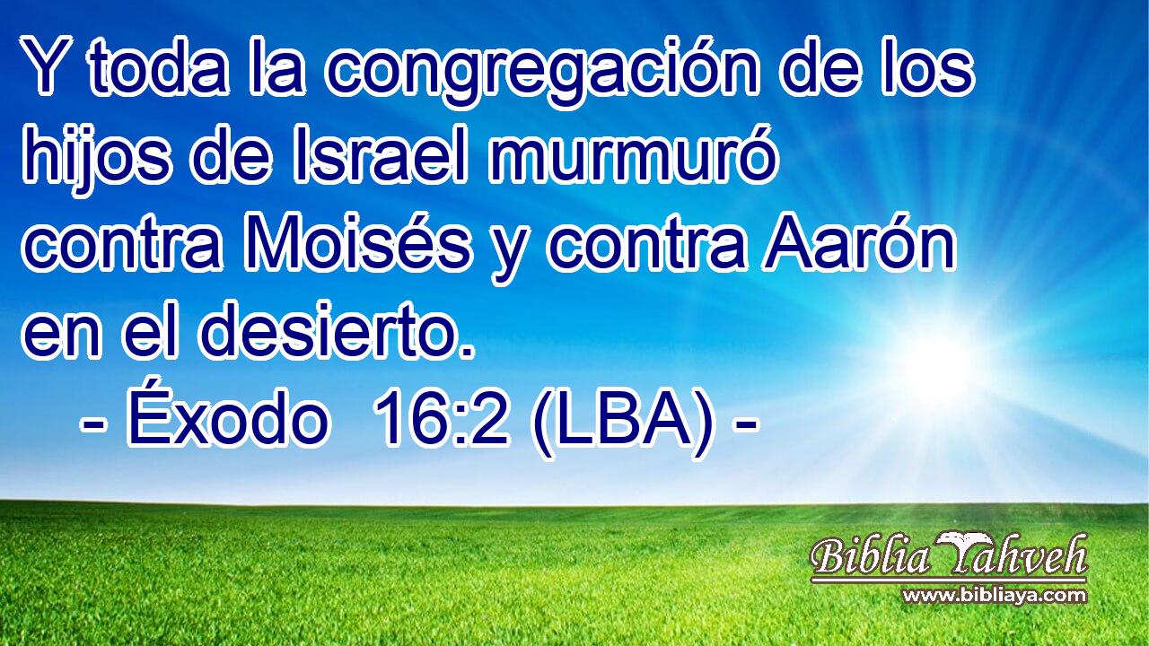 Y toda la congregación de los hijos de Israel murmuró contra Moisés y contra Aarón en el desierto.