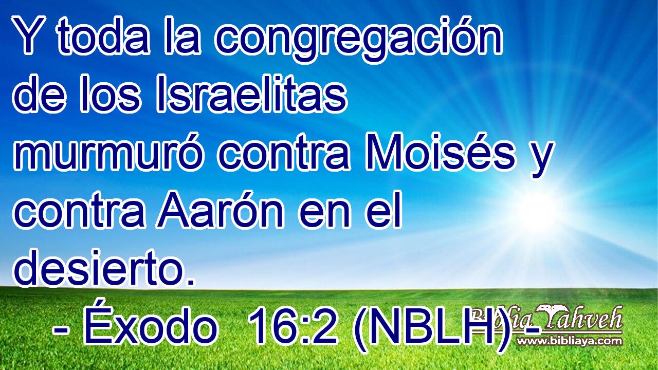  Y toda la congregación de los Israelitas murmuró contra Moisés y contra Aarón en el desierto. 