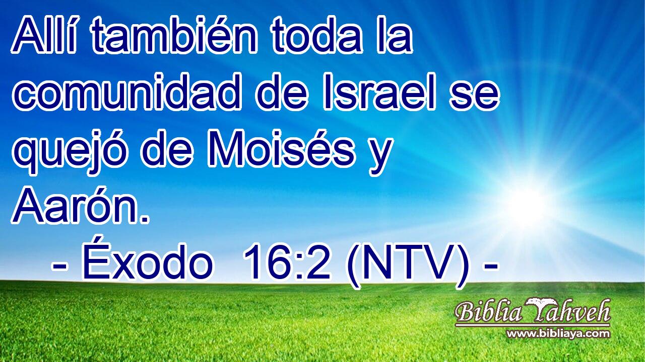 Allí también toda la comunidad de Israel se quejó de Moisés y Aarón.