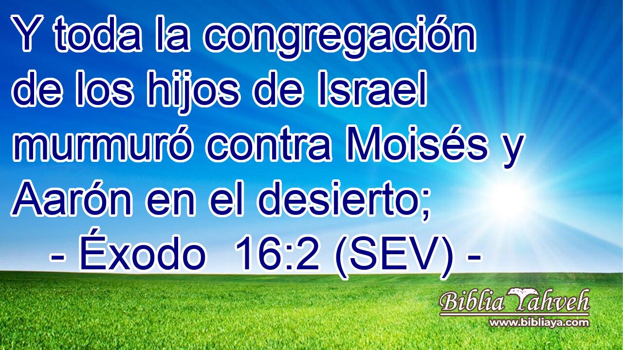 Y toda la congregación de los hijos de Israel murmuró contra Moisés y Aarón en el desierto;