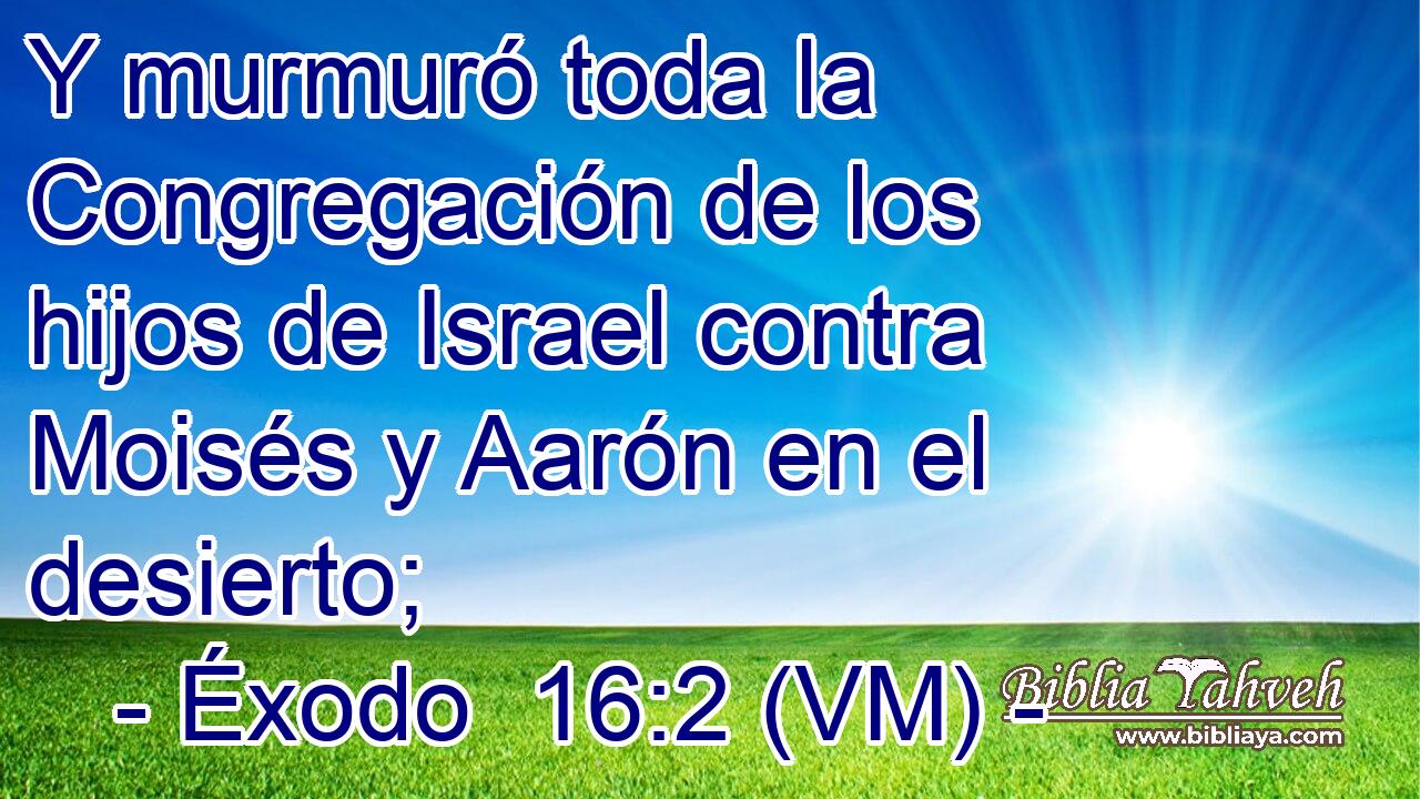  Y murmuró toda la Congregación de los hijos de Israel contra Moisés y Aarón en el desierto; 