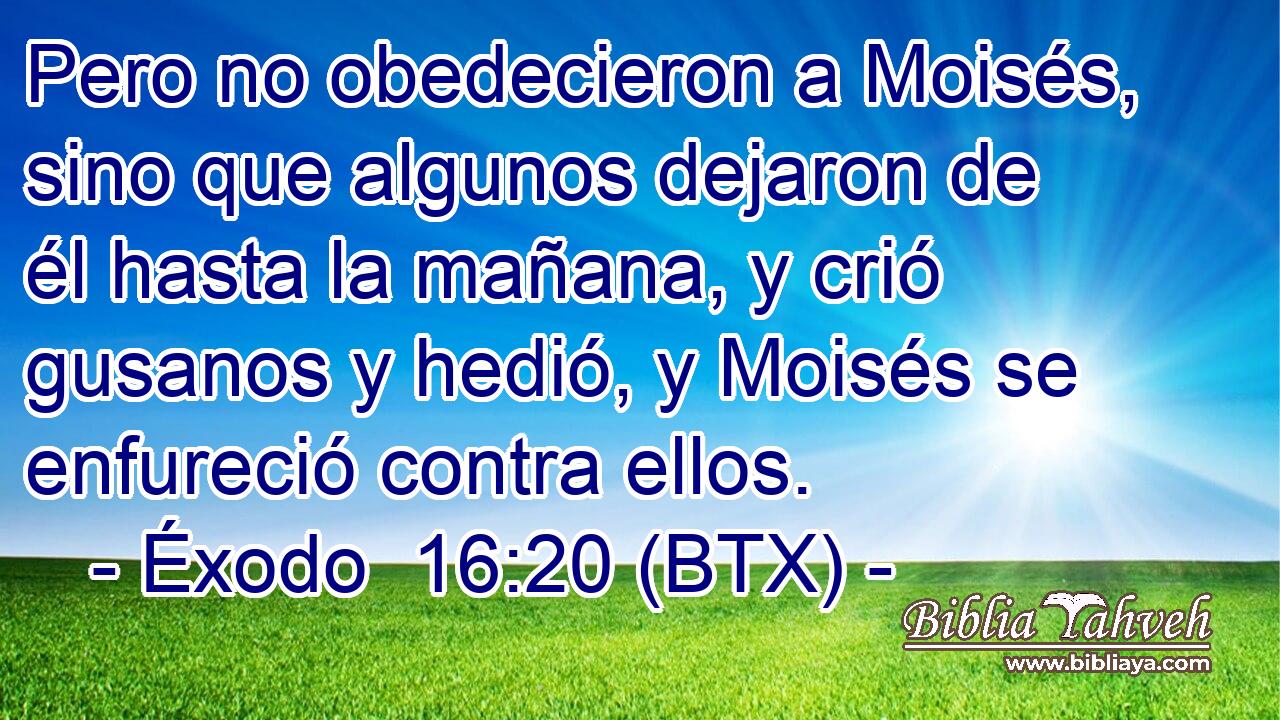Pero no obedecieron a Moisés, sino que algunos dejaron de él hasta la mañana, y crió gusanos y hedió, y Moisés se enfureció contra ellos.