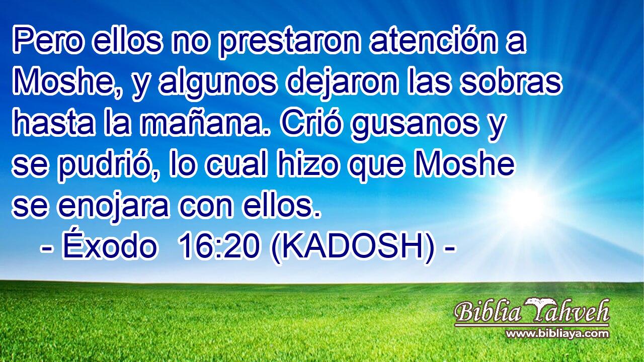  Pero ellos no prestaron atención a Moshe, y algunos dejaron las sobras hasta la mañana. Crió gusanos y se pudrió, lo cual hizo que Moshe se enojara con ellos. 