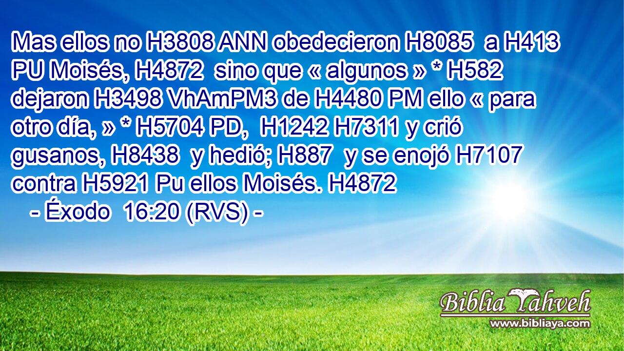 Mas ellos no H3808 ANN obedecieron H8085  a H413 PU Moisés, H4872  sino que « algunos » * H582  dejaron H3498 VhAmPM3 de H4480 PM ello « para otro día, » * H5704 PD,  H1242 H7311 y crió gusanos, H8438  y hedió; H887  y se enojó H7107  contra H5921 Pu ellos Moisés. H4872  
