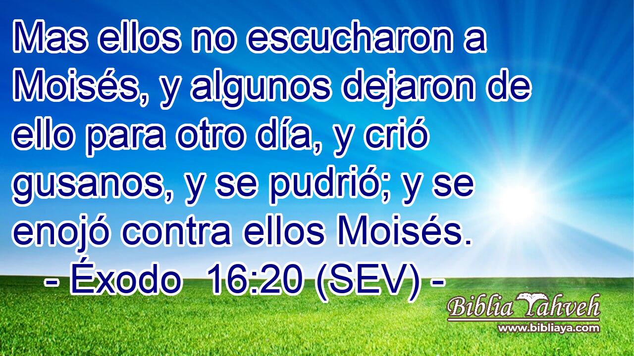 Mas ellos no escucharon a Moisés, y algunos dejaron de ello para otro día, y crió gusanos, y se pudrió; y se enojó contra ellos Moisés.