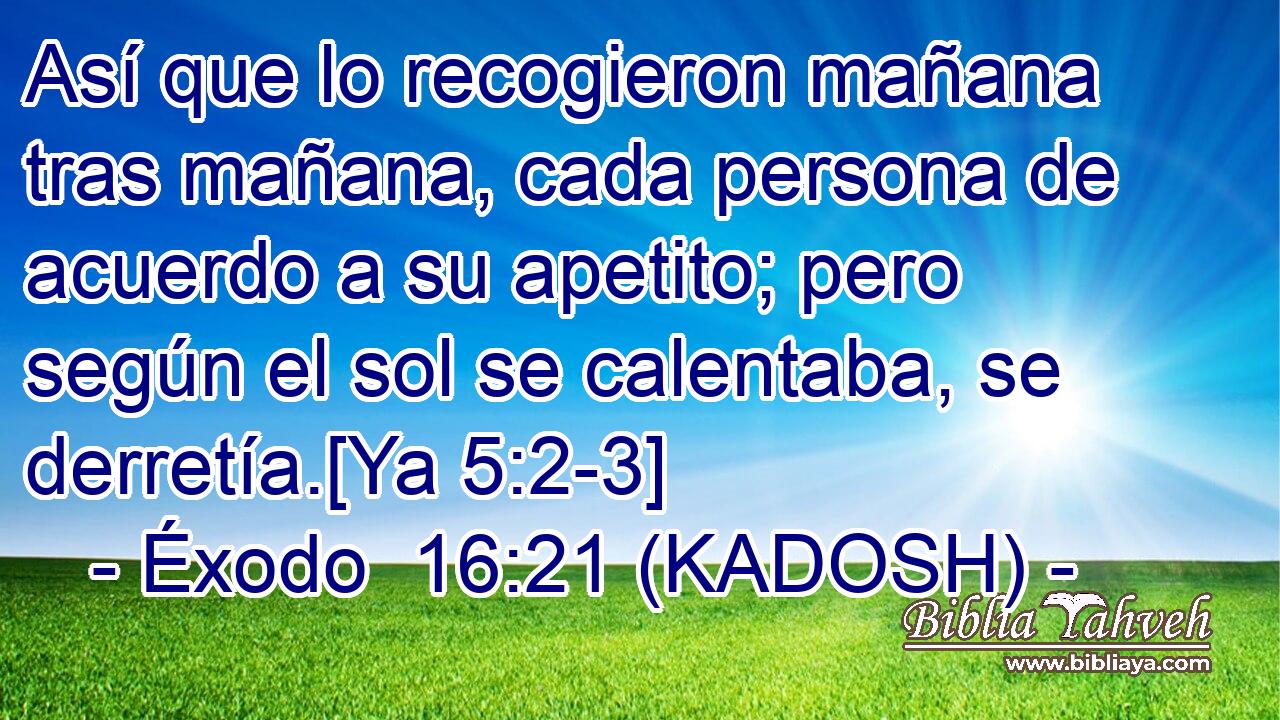  Así que lo recogieron mañana tras mañana, cada persona de acuerdo a su apetito; pero según el sol se calentaba, se derretía.[Ya 5:2-3] 