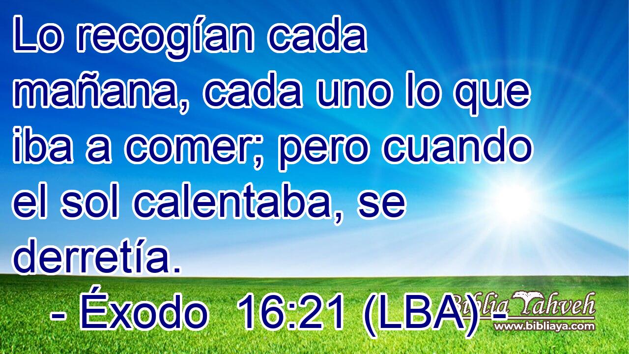 Lo recogían cada mañana, cada uno lo que iba a comer; pero cuando el sol calentaba, se derretía.