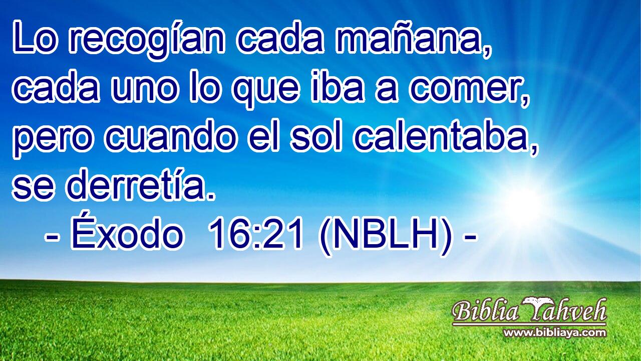  Lo recogían cada mañana, cada uno lo que iba a comer, pero cuando el sol calentaba, se derretía. 