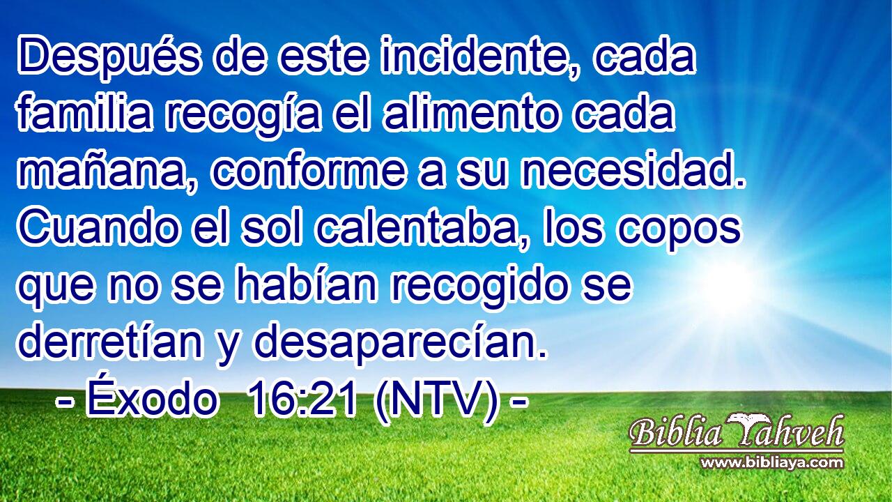 Después de este incidente, cada familia recogía el alimento cada mañana, conforme a su necesidad. Cuando el sol calentaba, los copos que no se habían recogido se derretían y desaparecían.