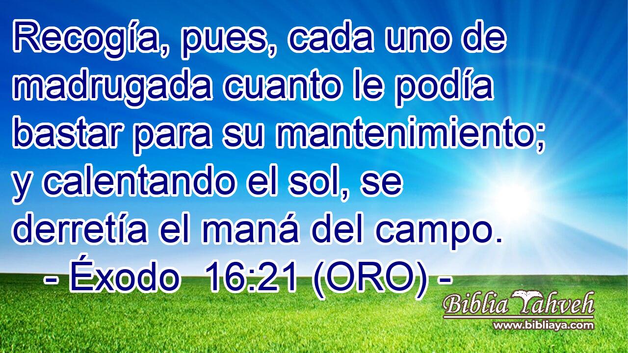  Recogía, pues, cada uno de madrugada cuanto le podía bastar para su mantenimiento; y calentando el sol, se derretía el maná del campo. 