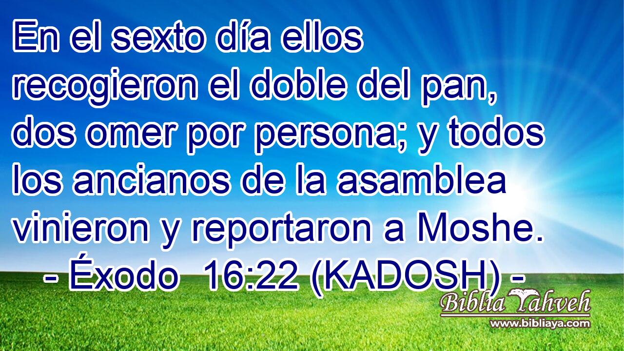  En el sexto día ellos recogieron el doble del pan, dos omer por persona; y todos los ancianos de la asamblea vinieron y reportaron a Moshe. 