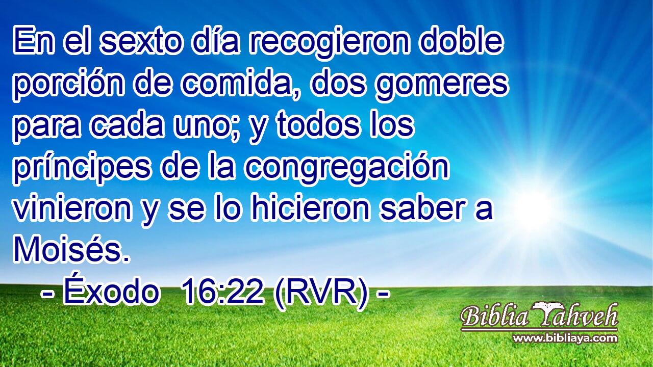 En el sexto día recogieron doble porción de comida, dos gomeres para cada uno; y todos los príncipes de la congregación vinieron y se lo hicieron saber a Moisés.