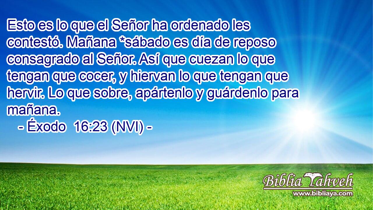  Esto es lo que el Señor ha ordenado les contestó. Mañana *sábado es día de reposo consagrado al Señor. Así que cuezan lo que tengan que cocer, y hiervan lo que tengan que hervir. Lo que sobre, apártenlo y guárdenlo para mañana. 