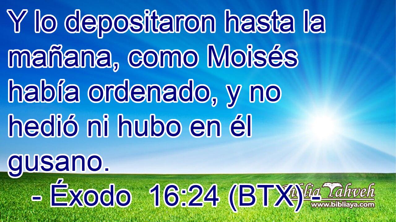 Y lo depositaron hasta la mañana, como Moisés había ordenado, y no hedió ni hubo en él gusano.