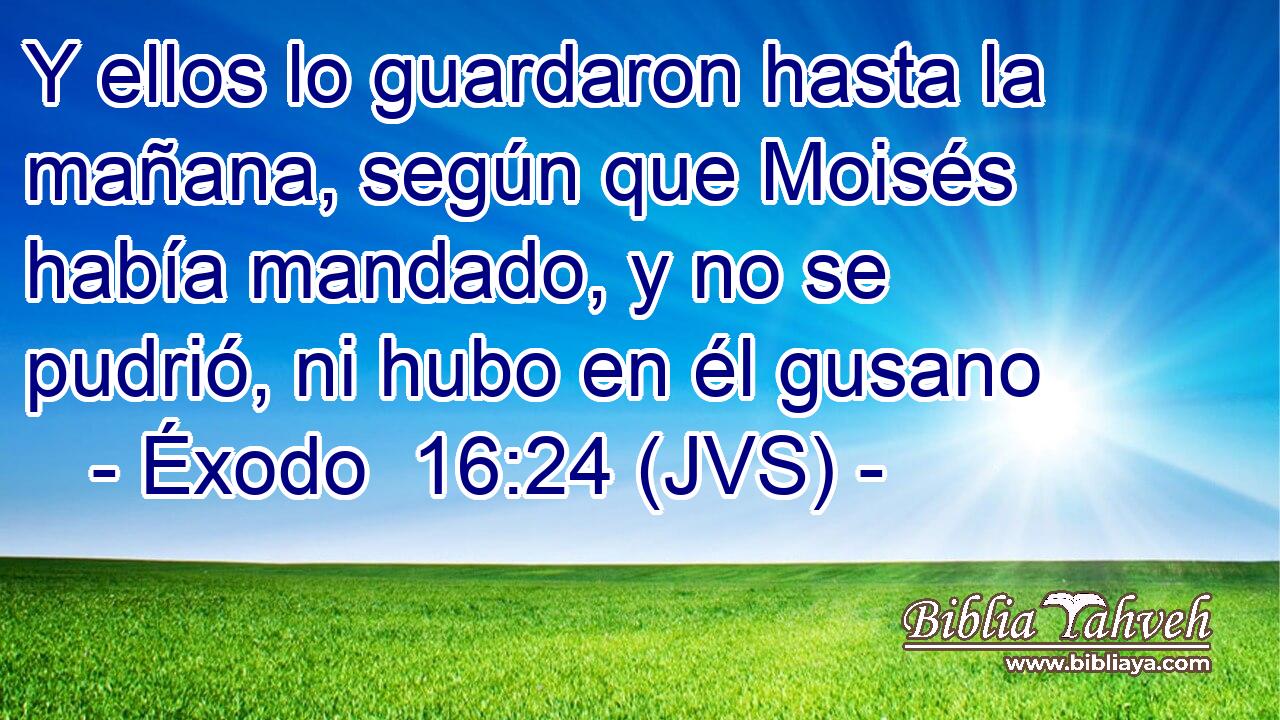 Y ellos lo guardaron hasta la mañana, según que Moisés había mandado, y no se pudrió, ni hubo en él gusano