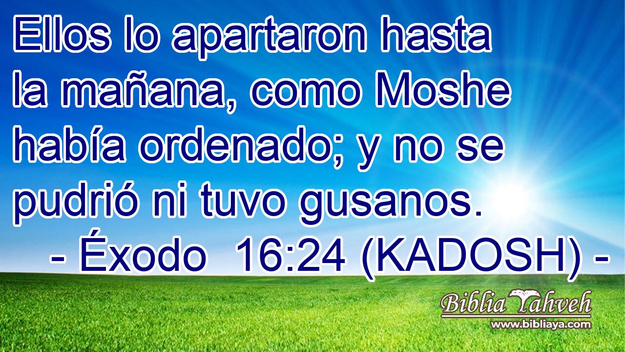  Ellos lo apartaron hasta la mañana, como Moshe había ordenado; y no se pudrió ni tuvo gusanos. 