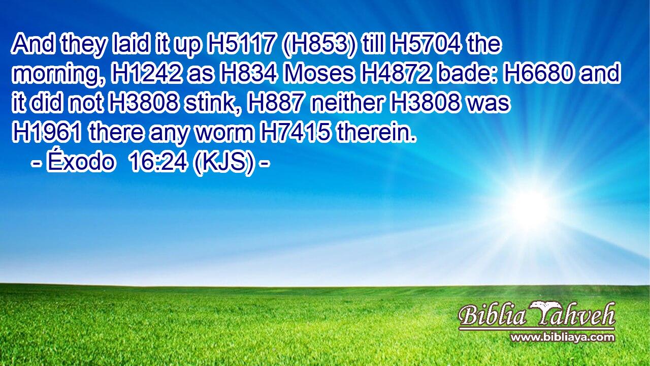 And they laid it up H5117 (H853) till H5704 the morning, H1242 as H834 Moses H4872 bade: H6680 and it did not H3808 stink, H887 neither H3808 was H1961 there any worm H7415 therein.