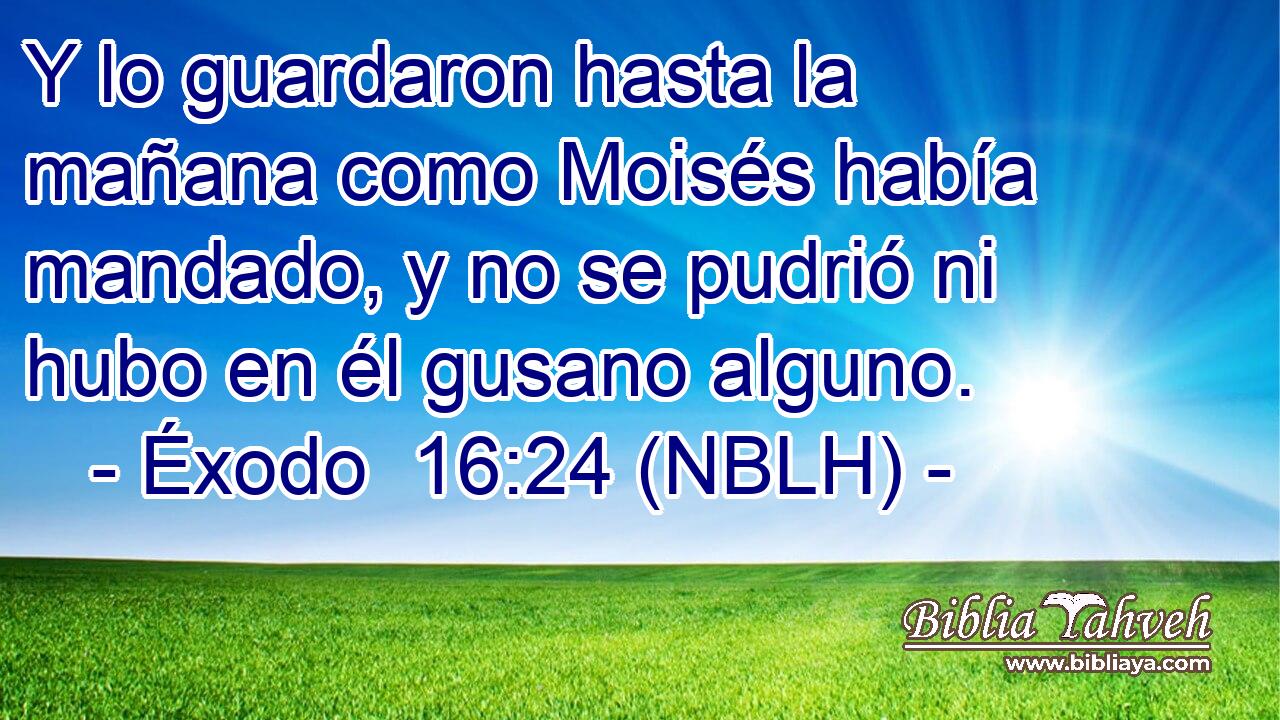  Y lo guardaron hasta la mañana como Moisés había mandado, y no se pudrió ni hubo en él gusano alguno. 