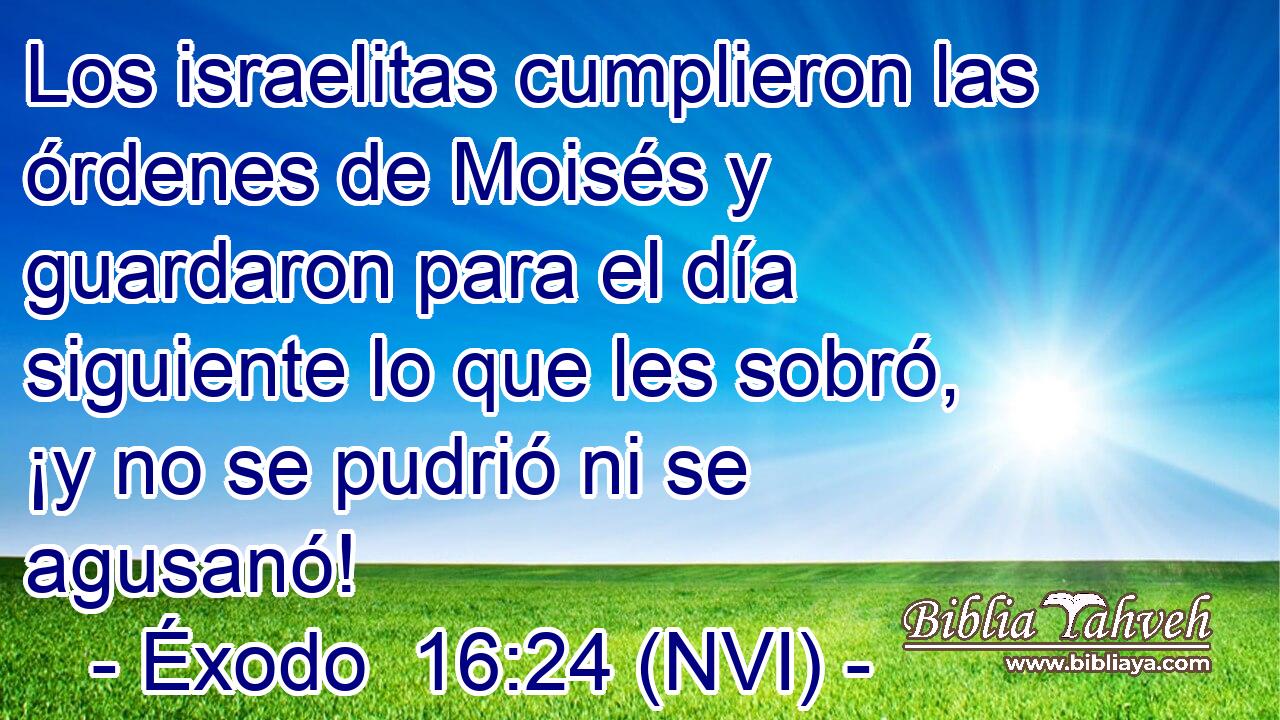  Los israelitas cumplieron las órdenes de Moisés y guardaron para el día siguiente lo que les sobró, ¡y no se pudrió ni se agusanó! 