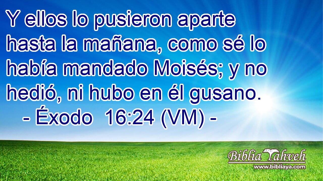  Y ellos lo pusieron aparte hasta la mañana, como sé lo había mandado Moisés; y no hedió, ni hubo en él gusano. 