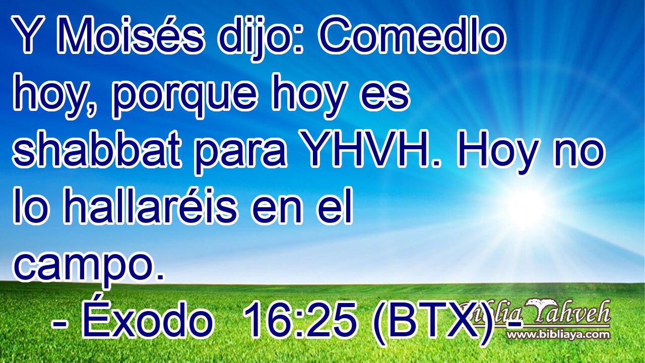 Y Moisés dijo: Comedlo hoy, porque hoy es shabbat para YHVH. Hoy no lo hallaréis en el campo.