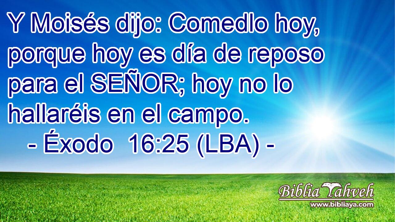Y Moisés dijo: Comedlo hoy, porque hoy es día de reposo para el SEÑOR; hoy no lo hallaréis en el campo.
