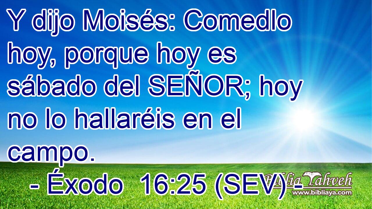 Y dijo Moisés: Comedlo hoy, porque hoy es sábado del SEÑOR; hoy no lo hallaréis en el campo.