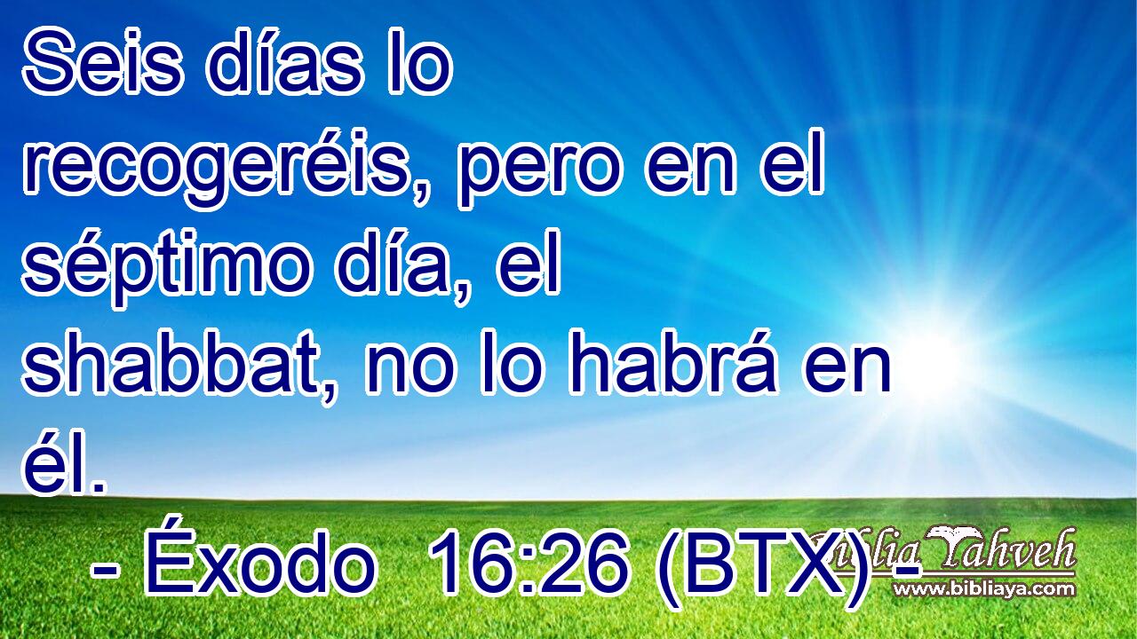 Seis días lo recogeréis, pero en el séptimo día, el shabbat, no lo habrá en él.