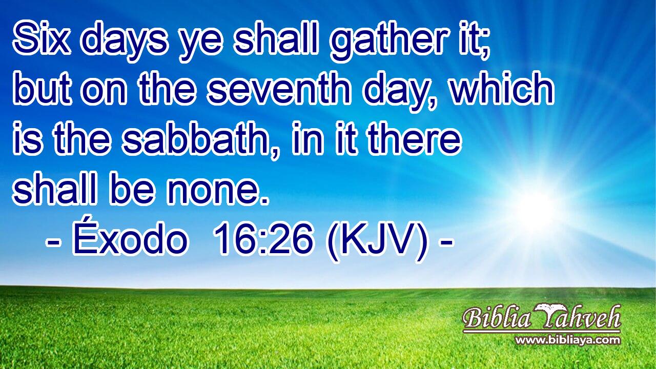 Six days ye shall gather it; but on the seventh day, which is the sabbath, in it there shall be none.