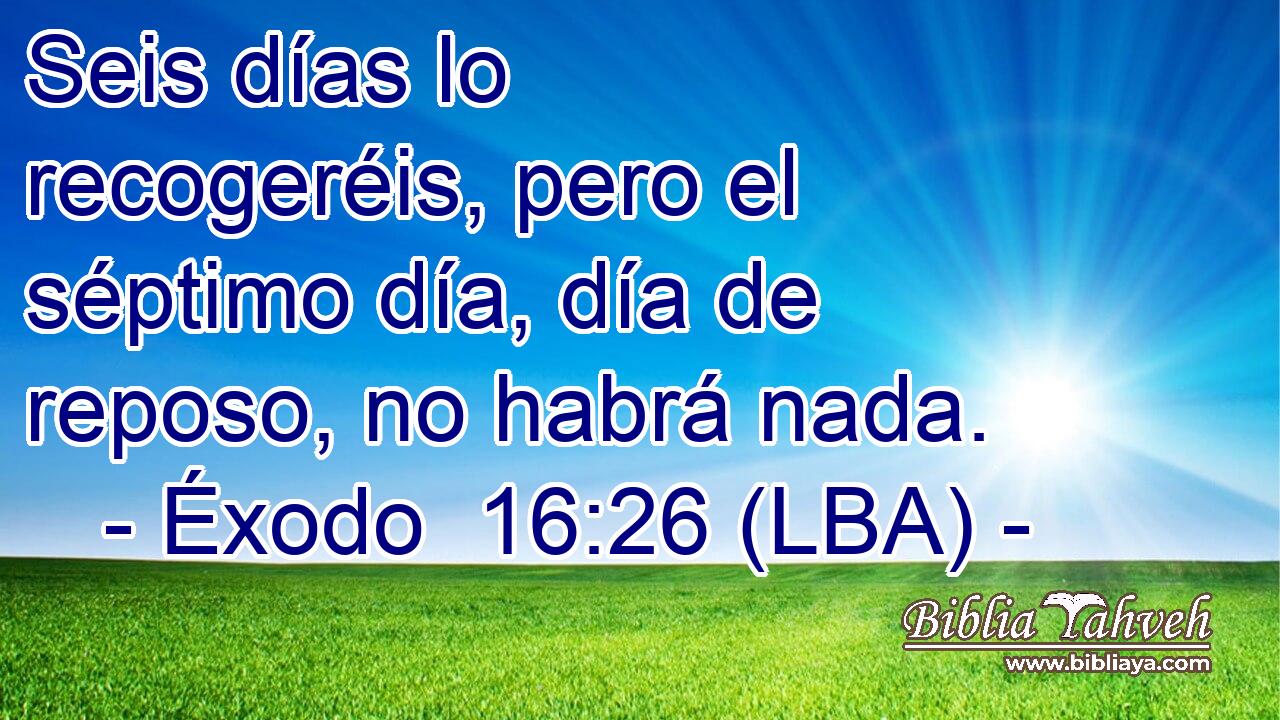 Seis días lo recogeréis, pero el séptimo día, día de reposo, no habrá nada.