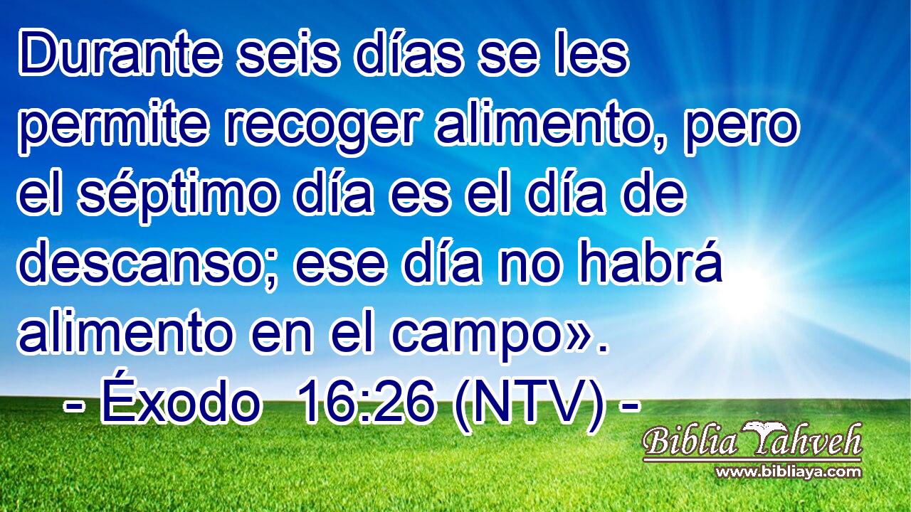 Durante seis días se les permite recoger alimento, pero el séptimo día es el día de descanso; ese día no habrá alimento en el campo».