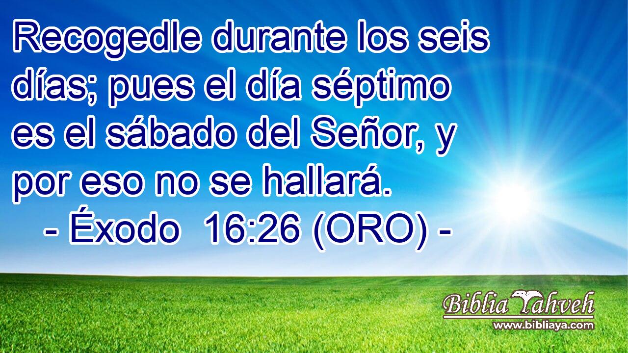  Recogedle durante los seis días; pues el día séptimo es el sábado del Señor, y por eso no se hallará. 