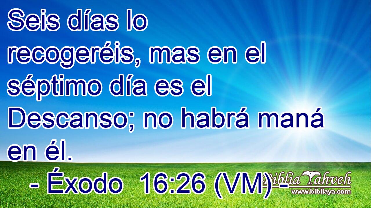  Seis días lo recogeréis, mas en el séptimo día es el Descanso; no habrá maná en él. 