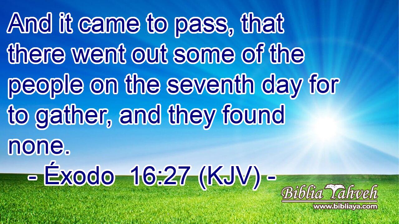 And it came to pass, that there went out some of the people on the seventh day for to gather, and they found none.