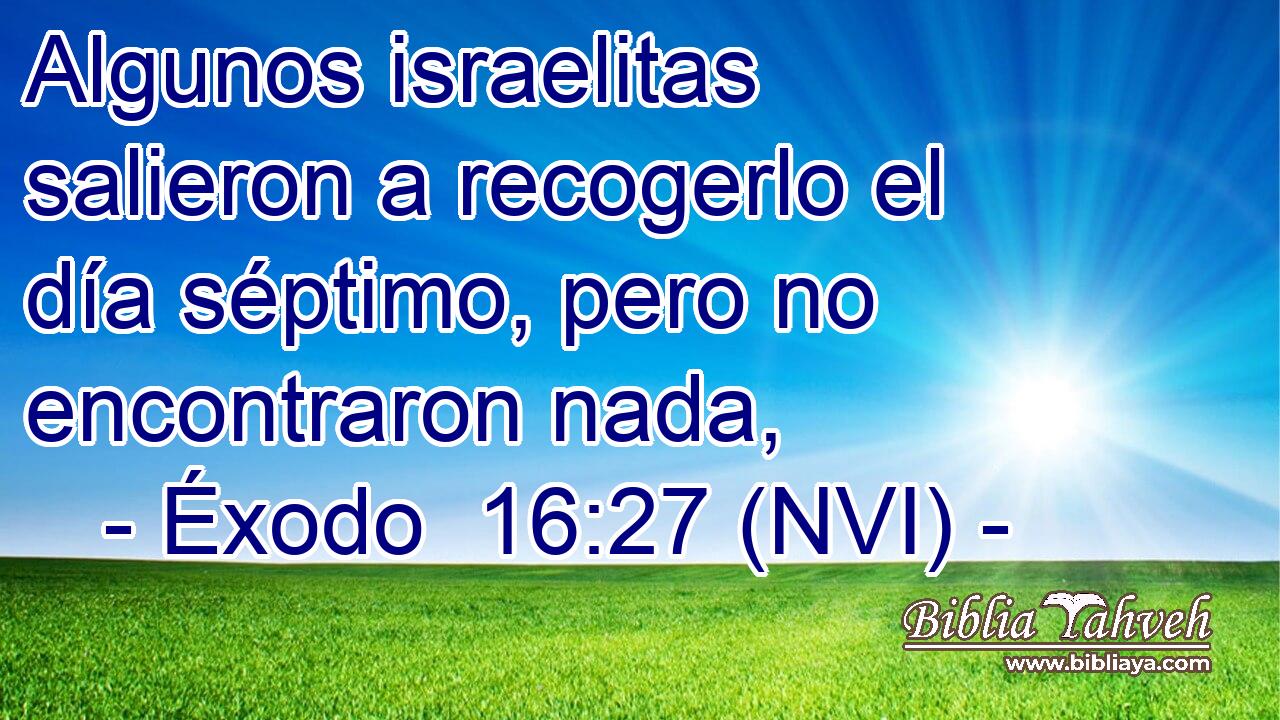  Algunos israelitas salieron a recogerlo el día séptimo, pero no encontraron nada, 