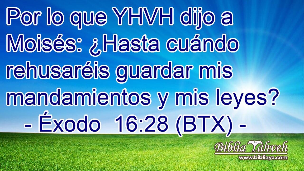 Por lo que YHVH dijo a Moisés: ¿Hasta cuándo rehusaréis guardar mis mandamientos y mis leyes?