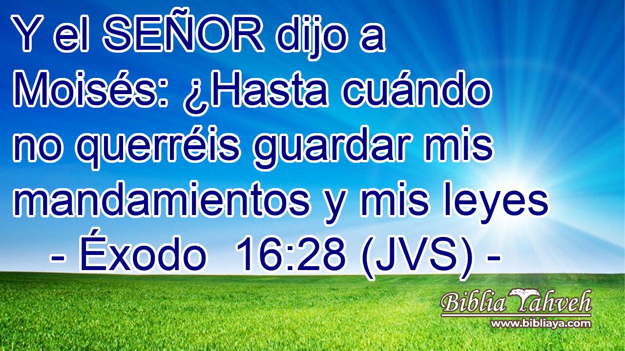 Y el SEÑOR dijo a Moisés: ¿Hasta cuándo no querréis guardar mis mandamientos y mis leyes