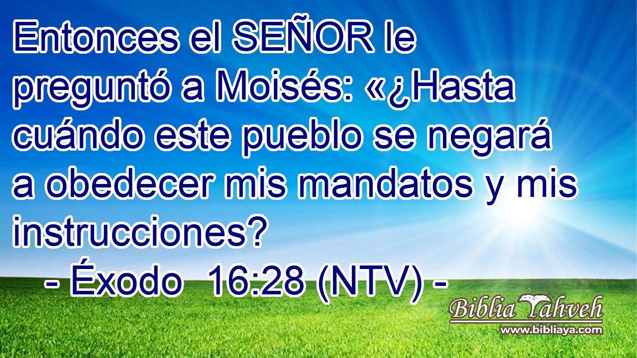 Entonces el SEÑOR le preguntó a Moisés: «¿Hasta cuándo este pueblo se negará a obedecer mis mandatos y mis instrucciones?