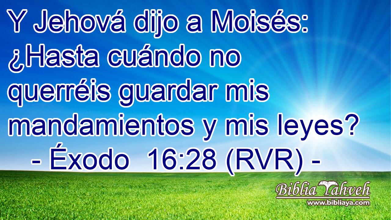 Y Jehová dijo a Moisés: ¿Hasta cuándo no querréis guardar mis mandamientos y mis leyes?