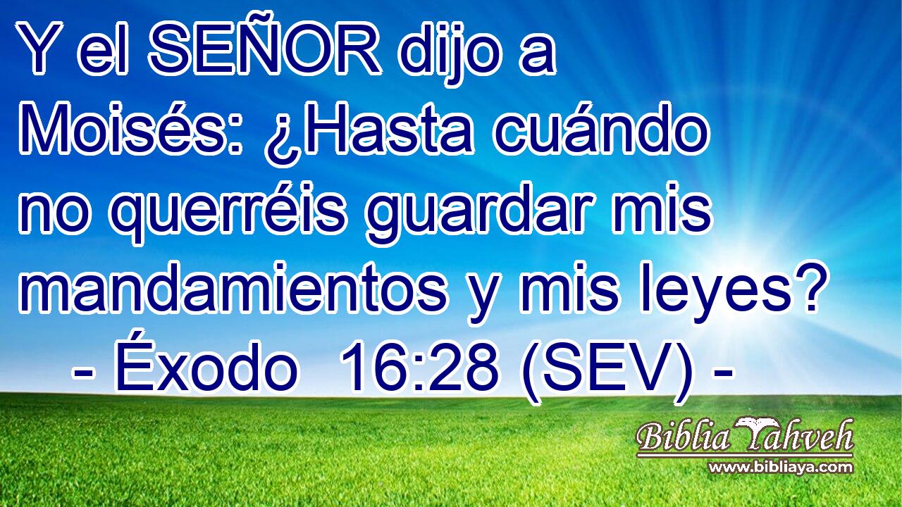 Y el SEÑOR dijo a Moisés: ¿Hasta cuándo no querréis guardar mis mandamientos y mis leyes?