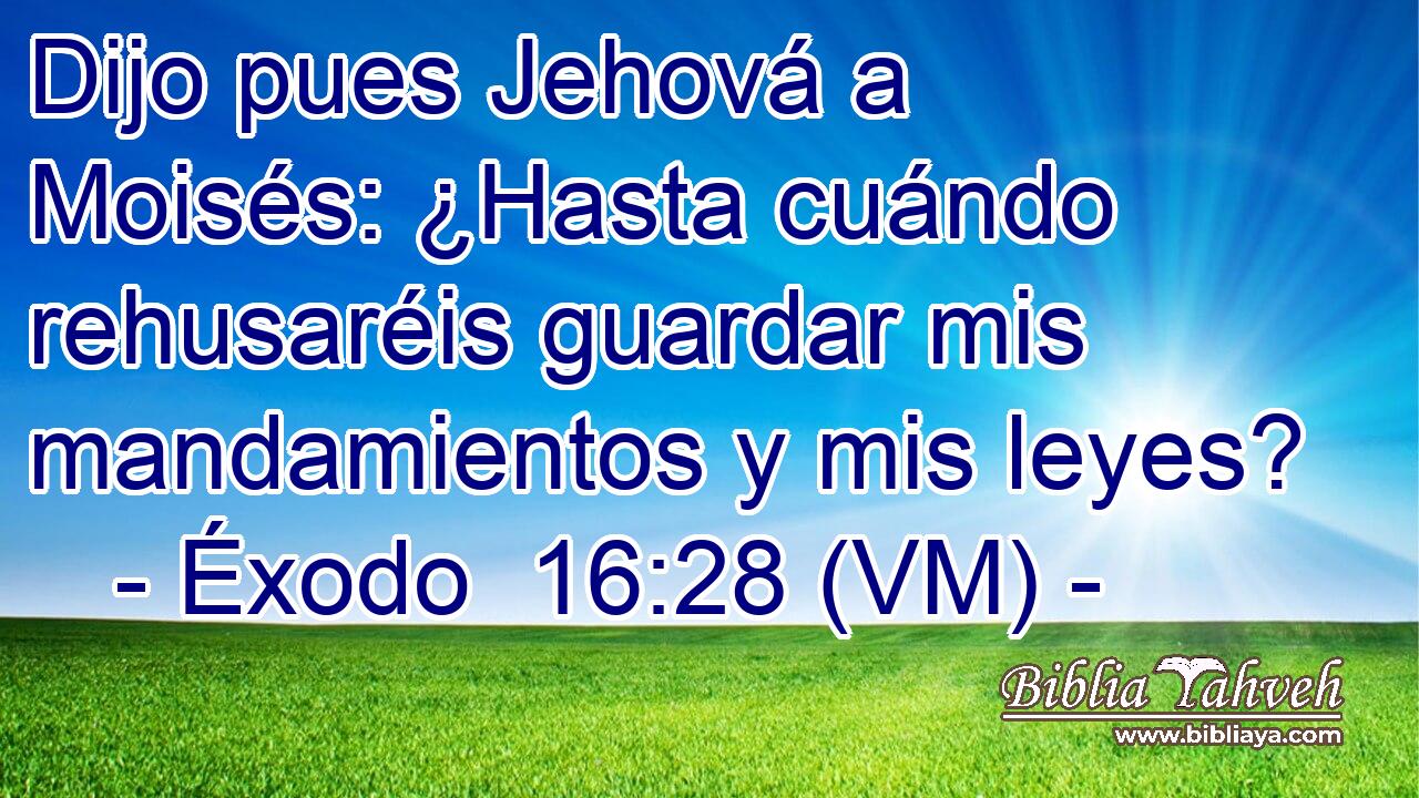  Dijo pues Jehová a Moisés: ¿Hasta cuándo rehusaréis guardar mis mandamientos y mis leyes? 