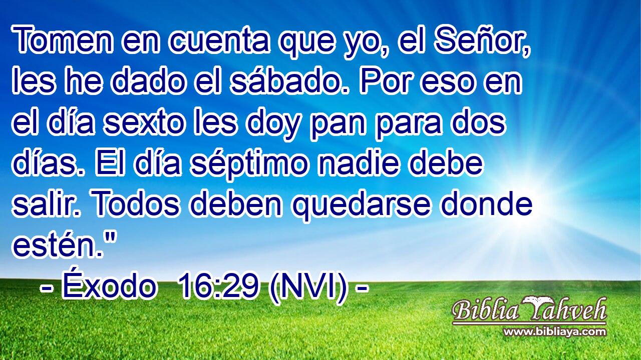  Tomen en cuenta que yo, el Señor, les he dado el sábado. Por eso en el día sexto les doy pan para dos días. El día séptimo nadie debe salir. Todos deben quedarse donde estén.