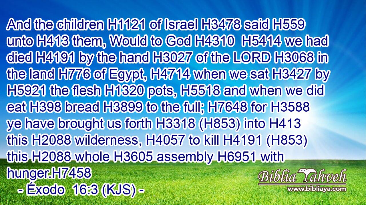 And the children H1121 of Israel H3478 said H559 unto H413 them, Would to God H4310  H5414 we had died H4191 by the hand H3027 of the LORD H3068 in the land H776 of Egypt, H4714 when we sat H3427 by H5921 the flesh H1320 pots, H5518 and when we did eat H398 bread H3899 to the full; H7648 for H3588 ye have brought us forth H3318 (H853) into H413 this H2088 wilderness, H4057 to kill H4191 (H853) this H2088 whole H3605 assembly H6951 with hunger.H7458