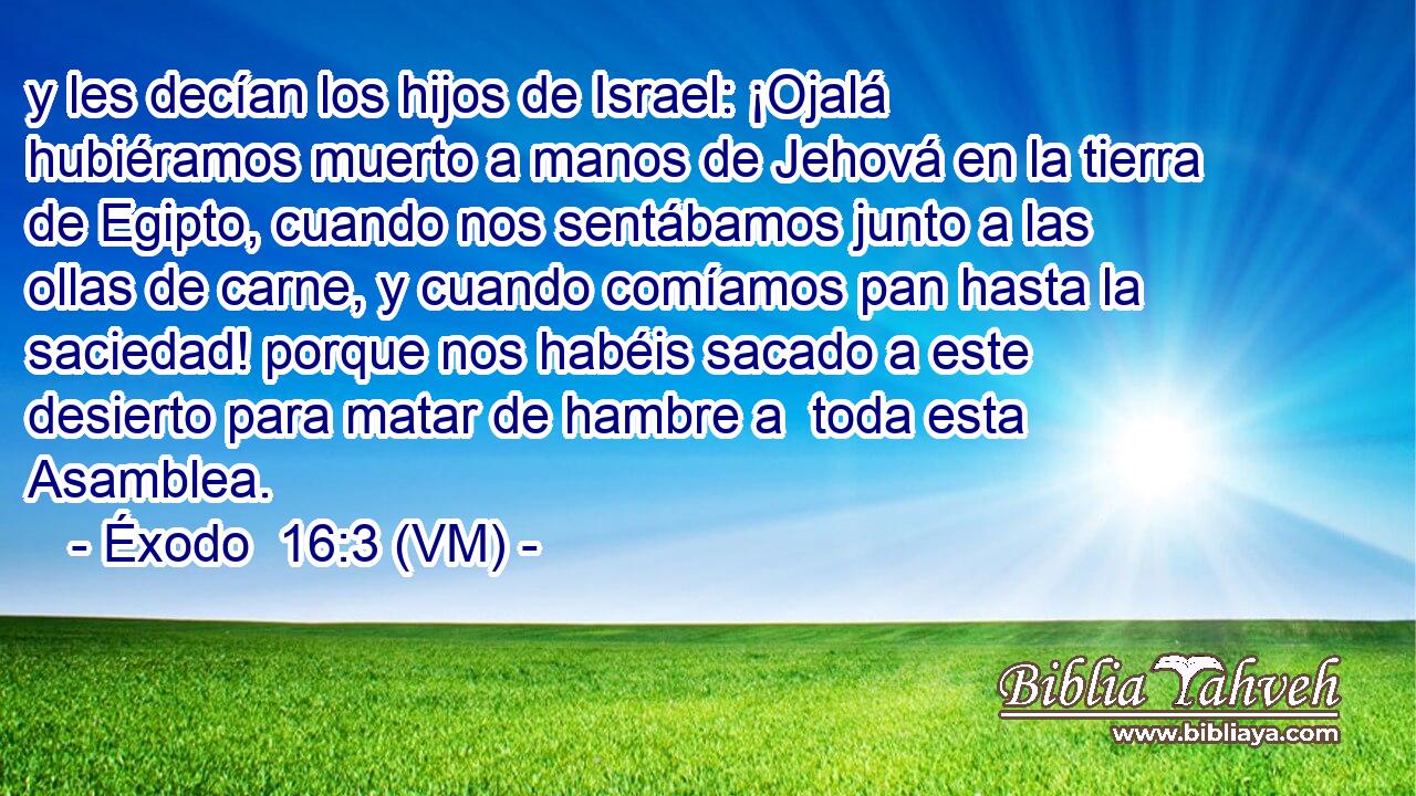  y les decían los hijos de Israel: ¡Ojalá hubiéramos muerto a manos de Jehová en la tierra de Egipto, cuando nos sentábamos junto a las ollas de carne, y cuando comíamos pan hasta la saciedad! porque nos habéis sacado a este desierto para matar de hambre a  toda esta Asamblea. 
