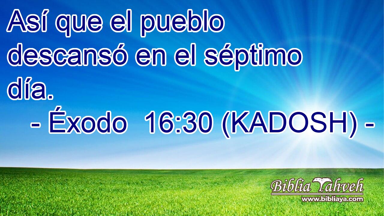  Así que el pueblo descansó en el séptimo día. 