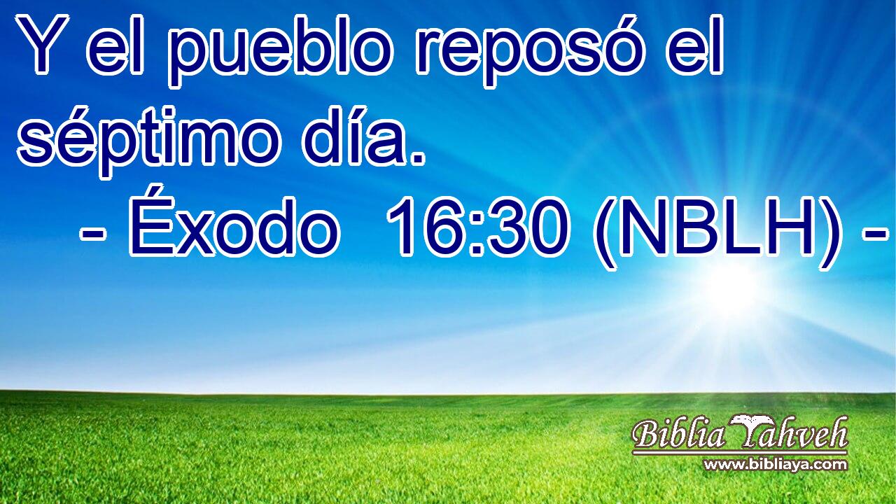  Y el pueblo reposó el séptimo día. 