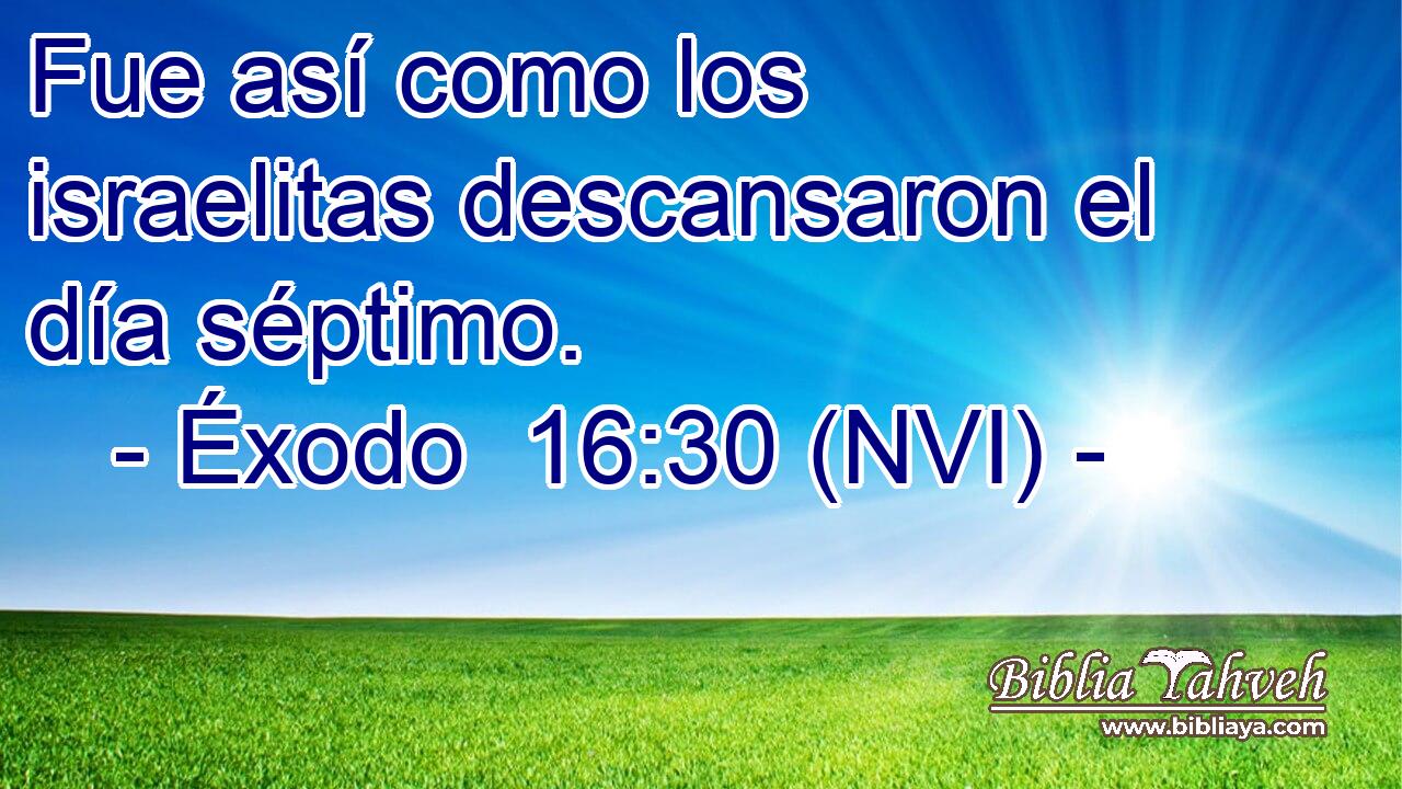  Fue así como los israelitas descansaron el día séptimo. 