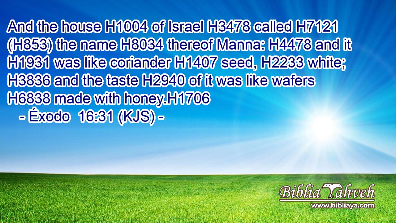 And the house H1004 of Israel H3478 called H7121 (H853) the name H8034 thereof Manna: H4478 and it H1931 was like coriander H1407 seed, H2233 white; H3836 and the taste H2940 of it was like wafers H6838 made with honey.H1706